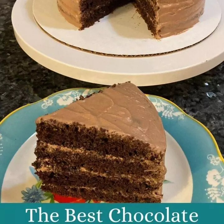 Best Chocolate Mayonnaise Cake (with chocolate mayonnaise frosting)