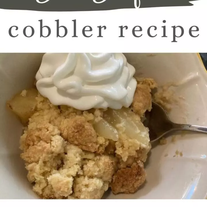 Best Bisquick Cobbler Recipe