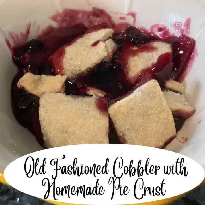 Old Fashioned Cobbler with Homemade Pie Crust
