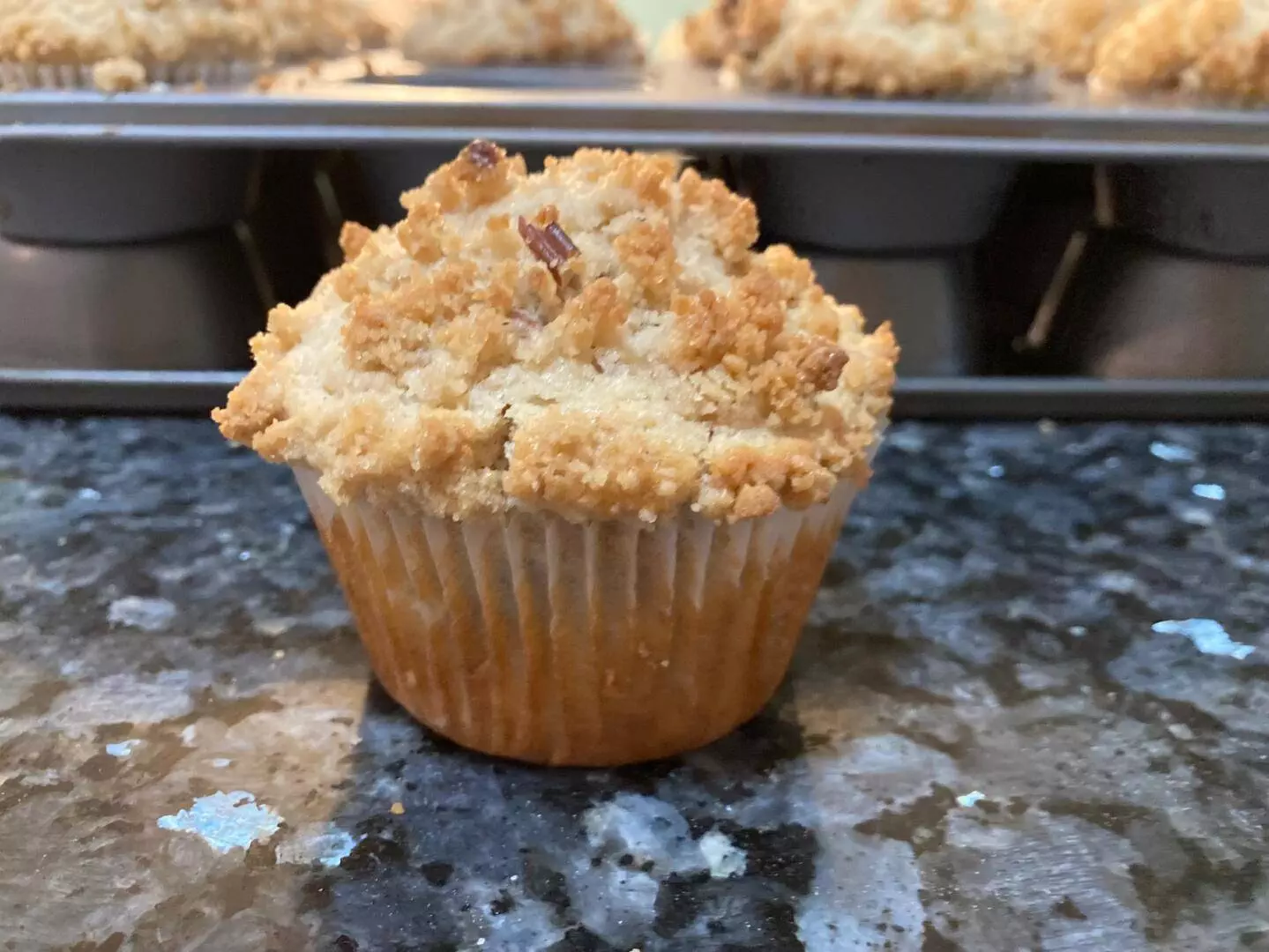Instant Oatmeal Muffins from Out of the Box Baking.com