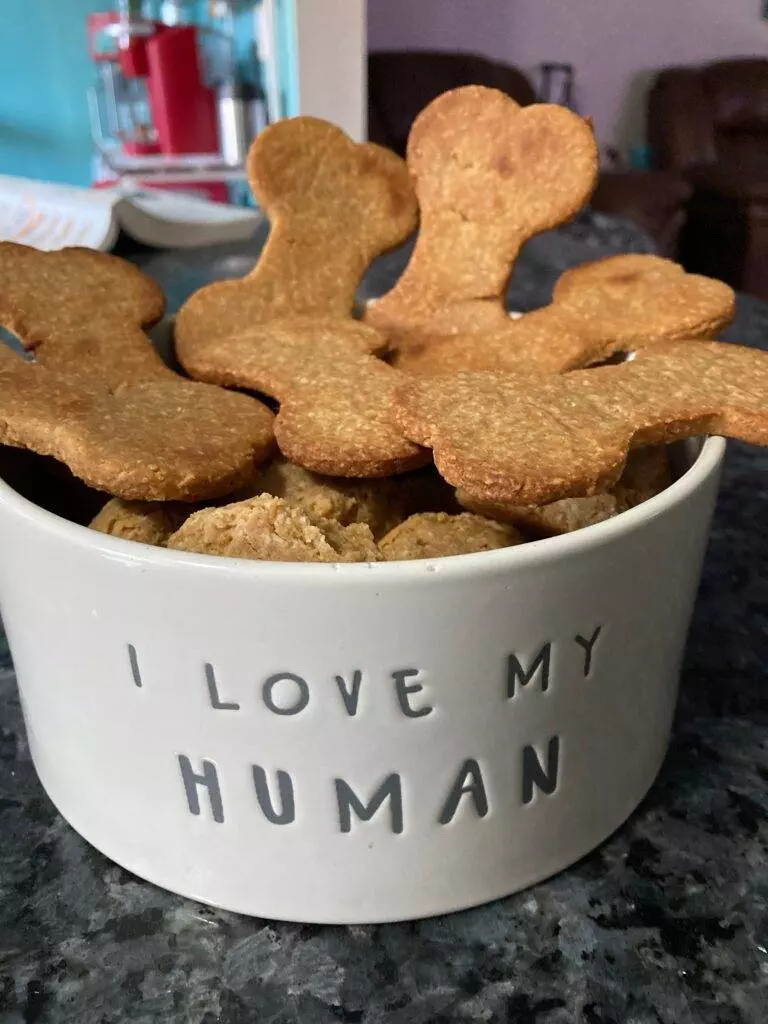 Homemade Dog Treats from Out of the Box Baking.com