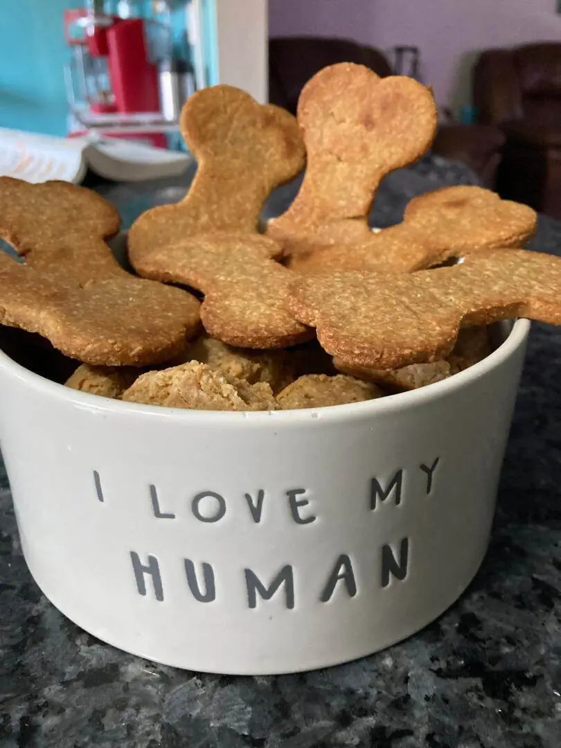 Homemade Dog Treats