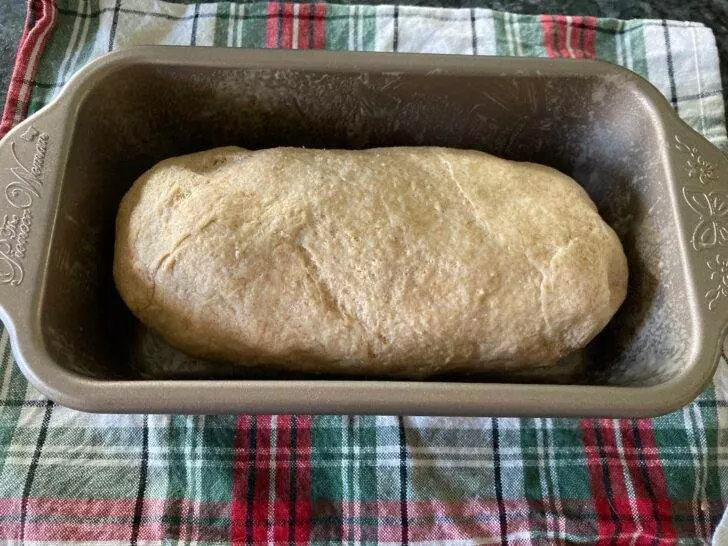 Classic Wheat Bread from Scratch (from Out of the Box Baking.com)