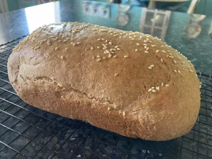 Classic Wheat Bread from Scratch (from Out of the Box Baking.com)