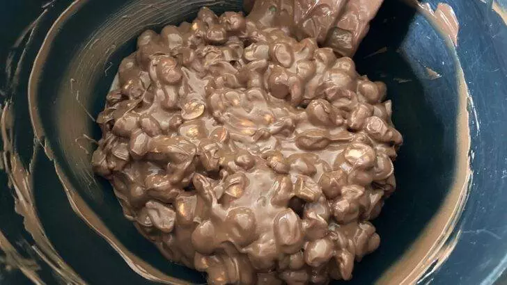 Chocolate Covered Peanuts from Out of the Box Baking.com