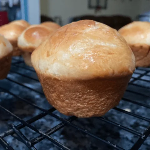 Light and Fluffy Yeast Rolls
