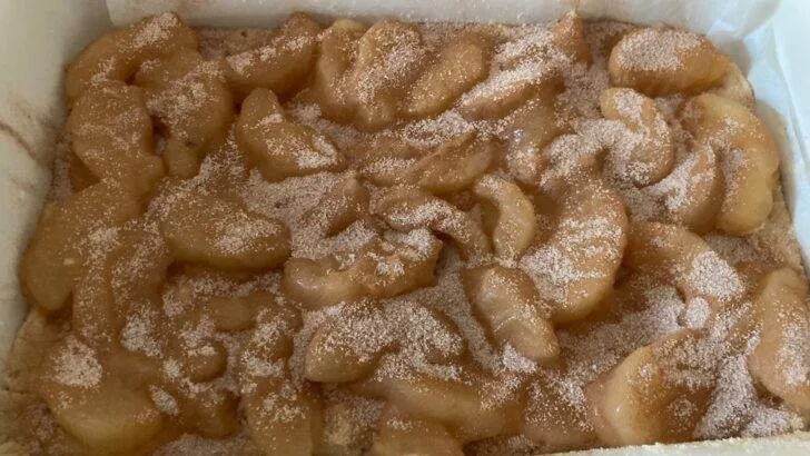 Apple Snickerdoodle Dump Cake from Out of the Box Baking.com