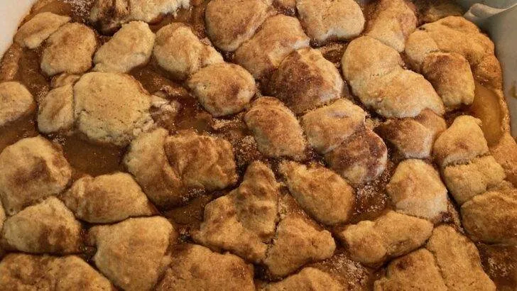 Apple Snickerdoodle Dump Cake from Out of the Box Baking.com