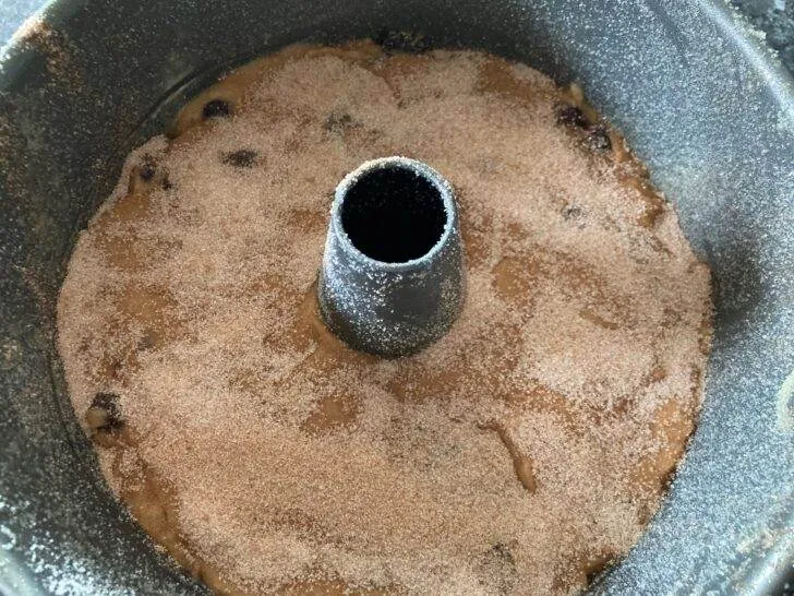 Cranberry Sourdough Coffee Cake from Out of the Box Baking