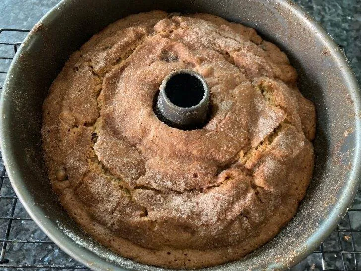 Cranberry Sourdough Coffee Cake from Out of the Box Baking