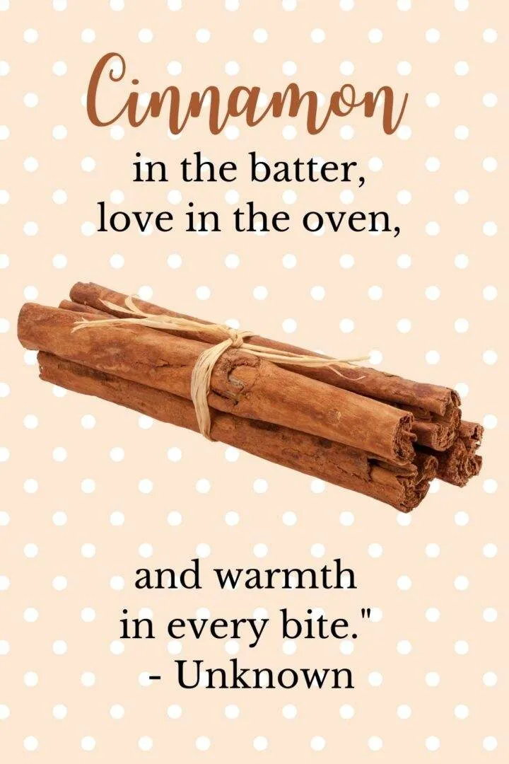 101 Tasty Quotes about Cinnamon Out of the Box Baking