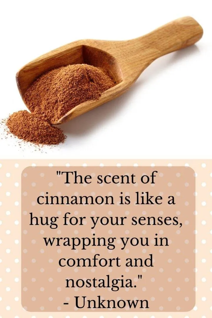 101 Tasty Quotes about Cinnamon Out of the Box Baking
