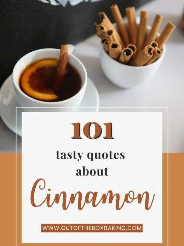 101 Tasty Quotes about Cinnamon Out of the Box Baking