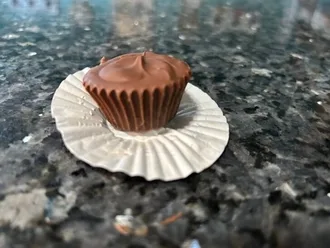 Copycat Reese