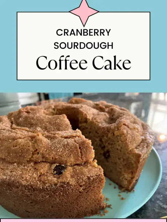 Cranberry Sourdough Coffee Cake from Out of the Box Baking
