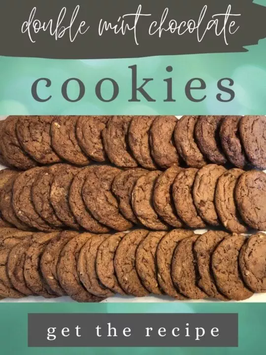 The 12 Best Cookie Tools of 2023