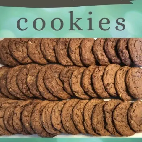 Double Mint Chocolate Cookies