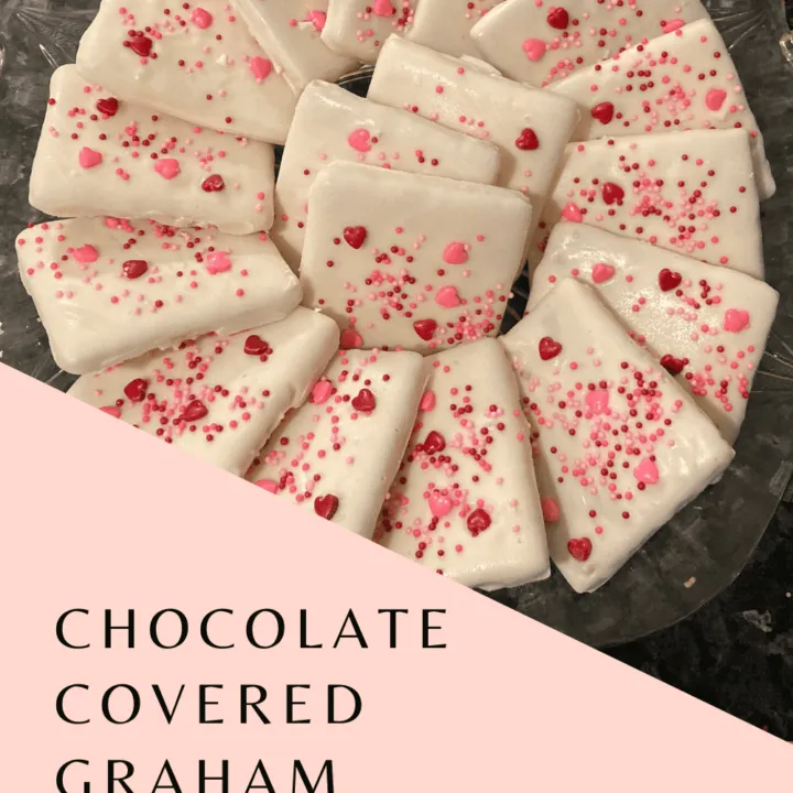 Chocolate Covered Graham Crackers