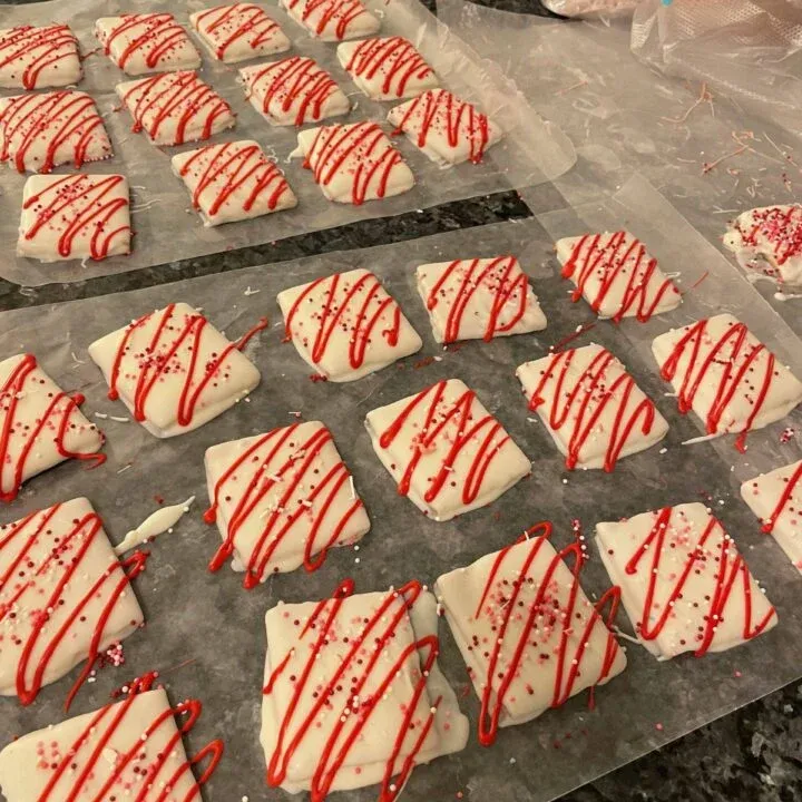 Chocolate Covered Graham Crackers