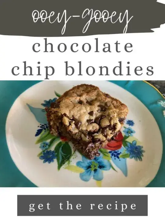 Ooey-Gooey Chocolate Chip Blondies from Out of the Box Baking.com