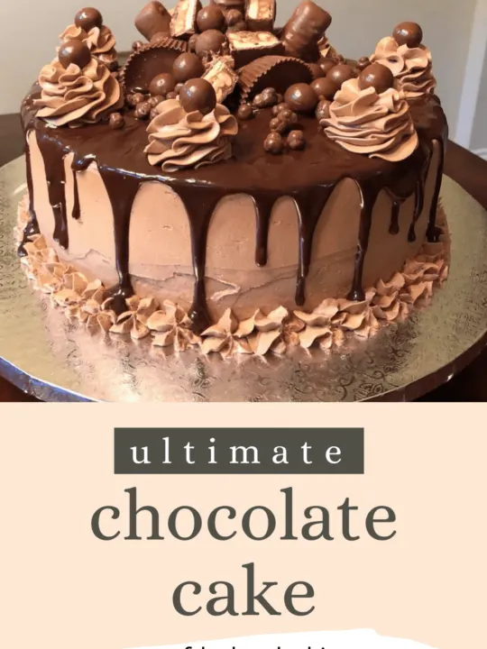 Ultimate Chocolate Birthday Cake - No Bake Dessert Idea