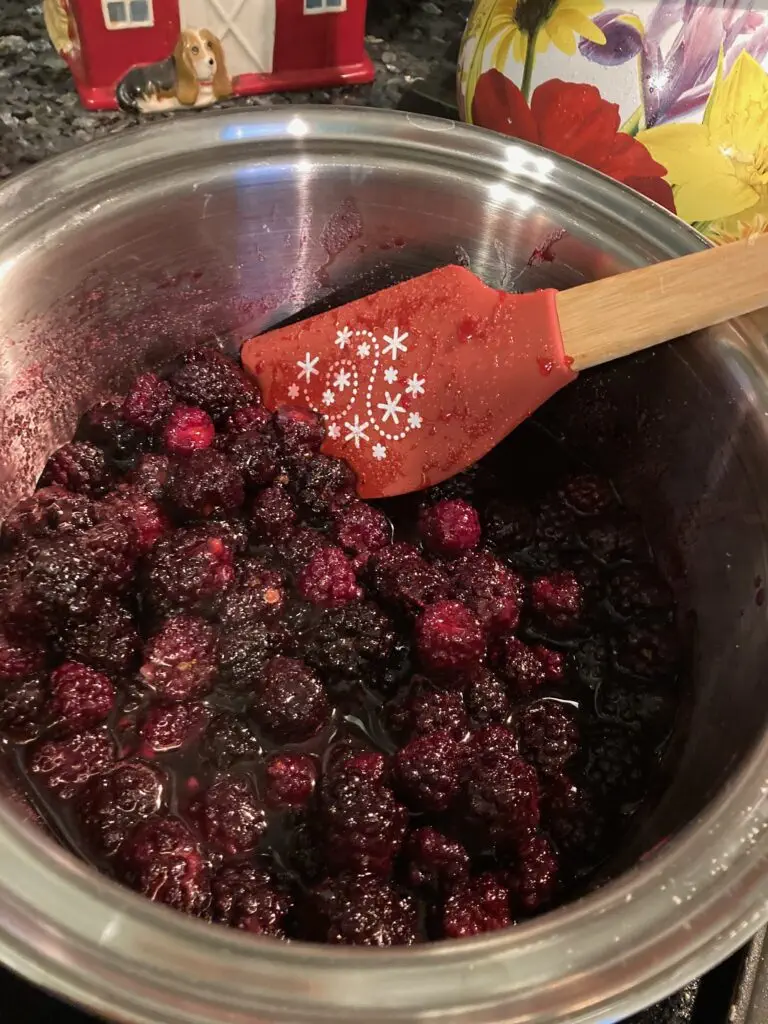 Yummy Blackberry Cobbler from Out of the Box Baking.com