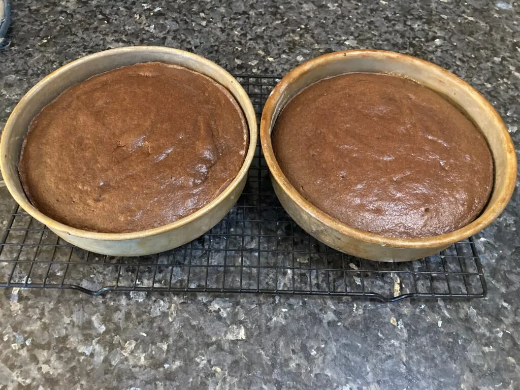 Best Chocolate Mayonnaise Cake (with Chocolate Mayonnaise Frosting) from Out of the Box Baking.com
