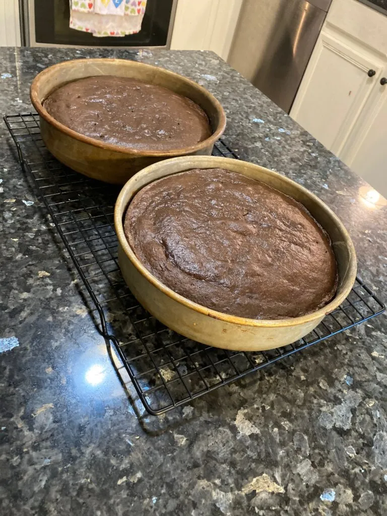 Best Chocolate Mayonnaise Cake (with Chocolate Mayonnaise Frosting) from Out of the Box Baking.com