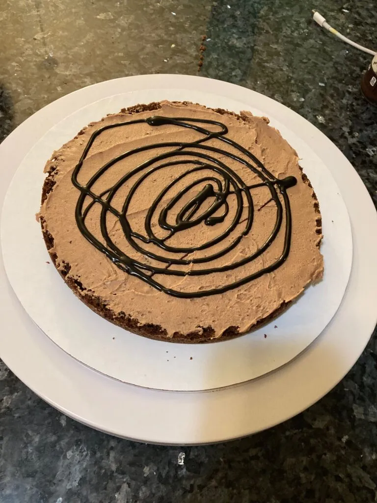 Best Chocolate Mayonnaise Cake (with Chocolate Mayonnaise Frosting) from Out of the Box Baking.com