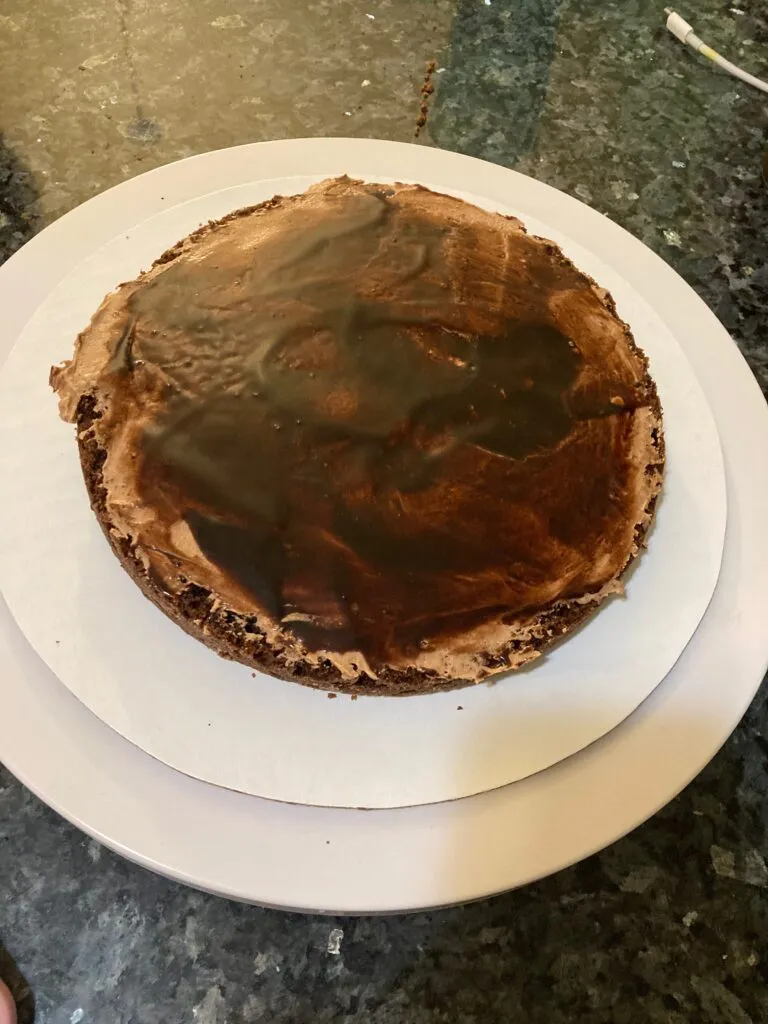 Best Chocolate Mayonnaise Cake (with Chocolate Mayonnaise Frosting) from Out of the Box Baking.com