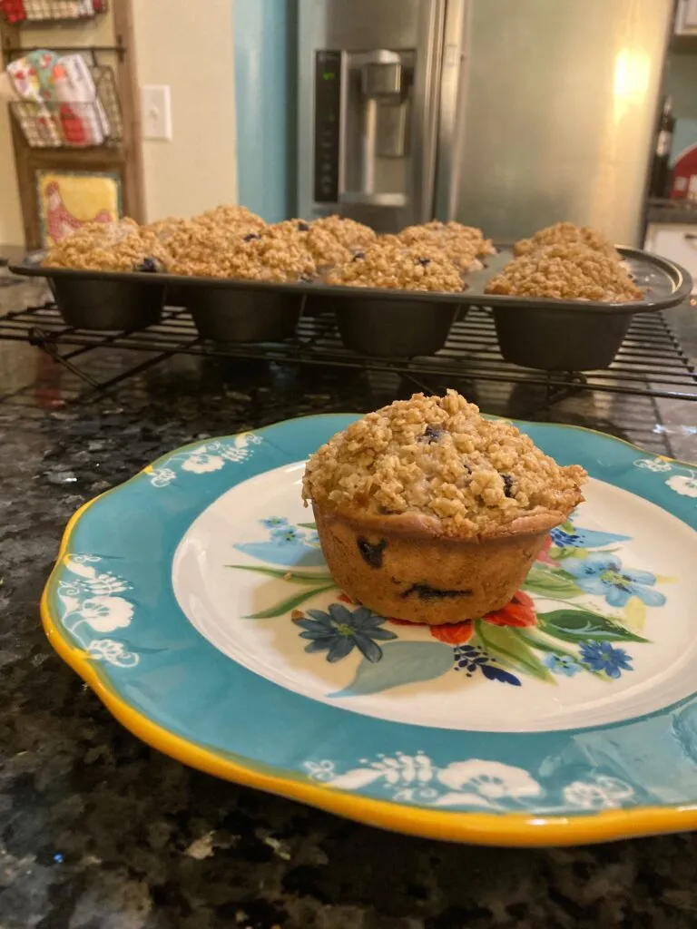 Oatmeal Blueberry Muffins