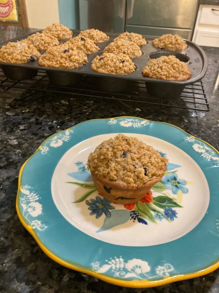 Blueberry Oatmeal Cookie on plate