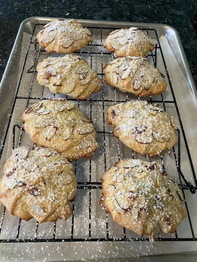 almond tea cakes sprinkled with powdered sugar