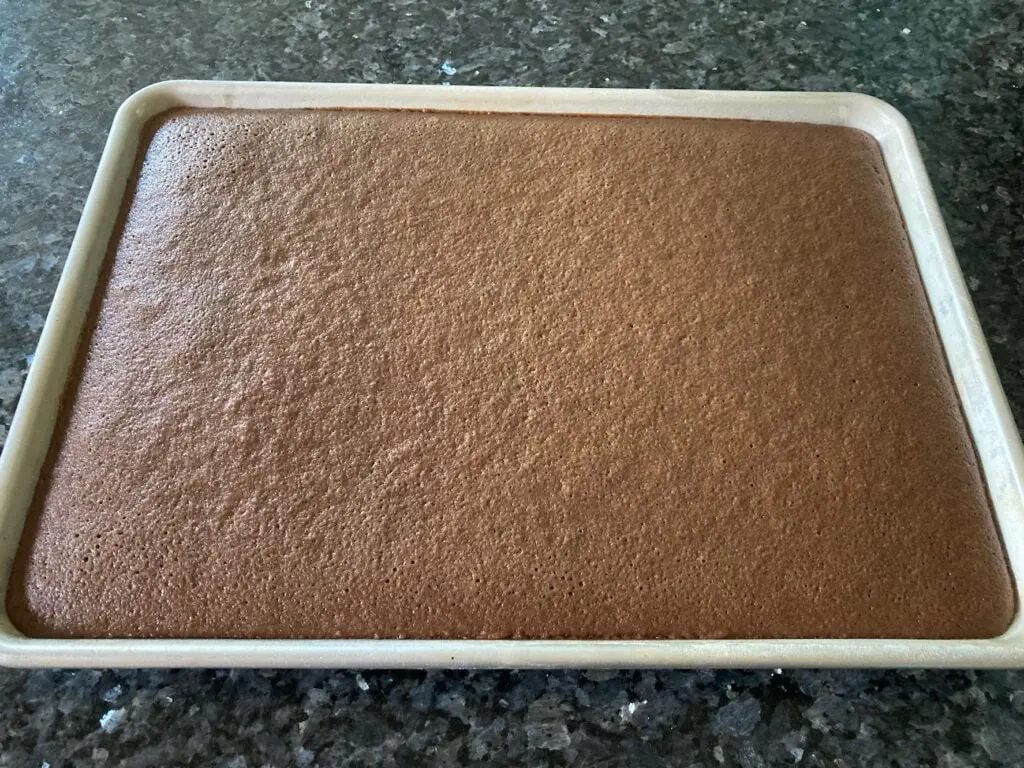 baked chocolate cake in sheet pan