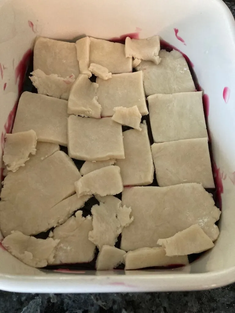 Old Fashioned Cobbler with Homemade Pie Crust