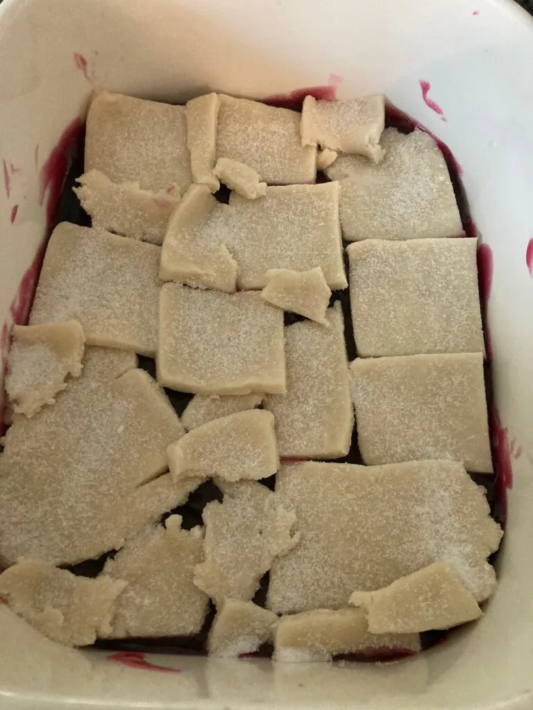 Old Fashioned Cobbler with Homemade Pie Crust