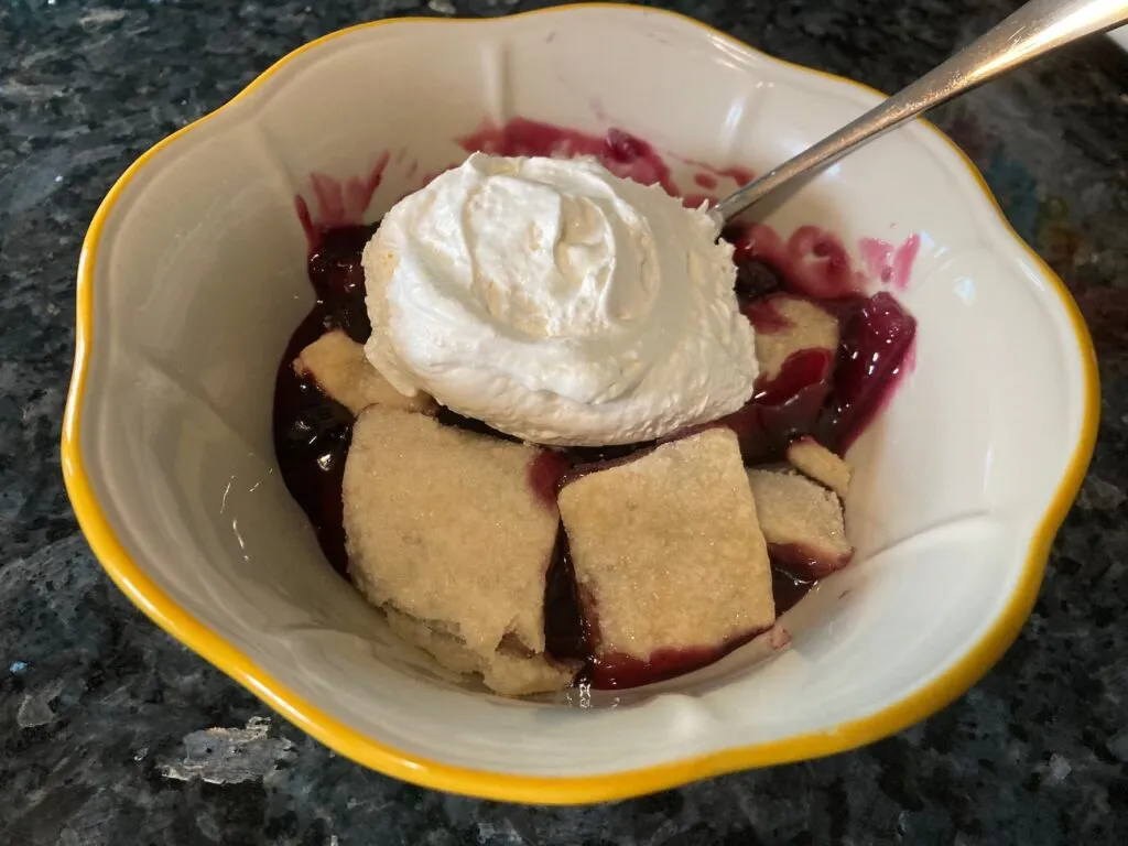 Old Fashioned Cobbler with Homemade Pie Crust