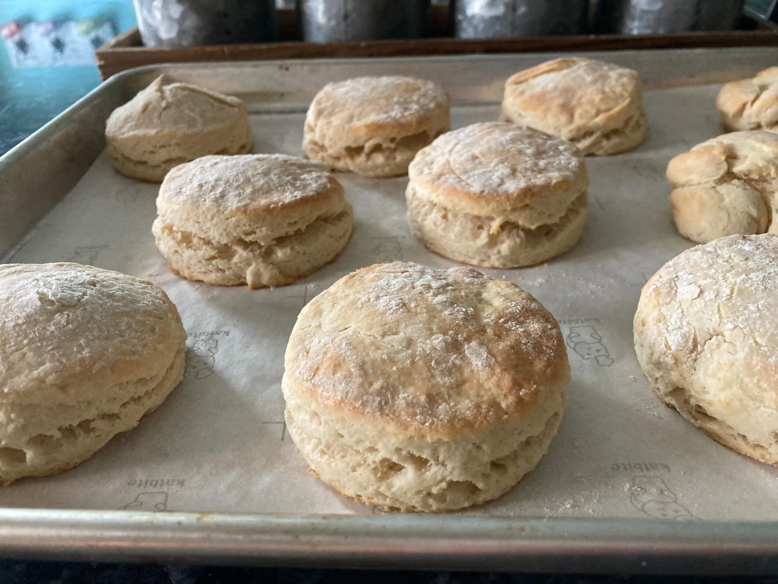 Baking Powder Biscuits from Out of the Box Baking.com