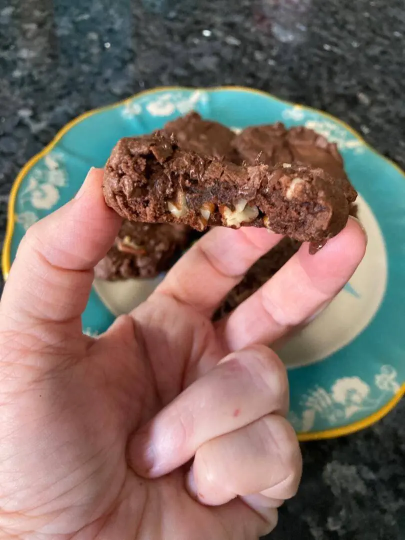 Double Chocolate Chip Cookies from Out of the Box Baking.com