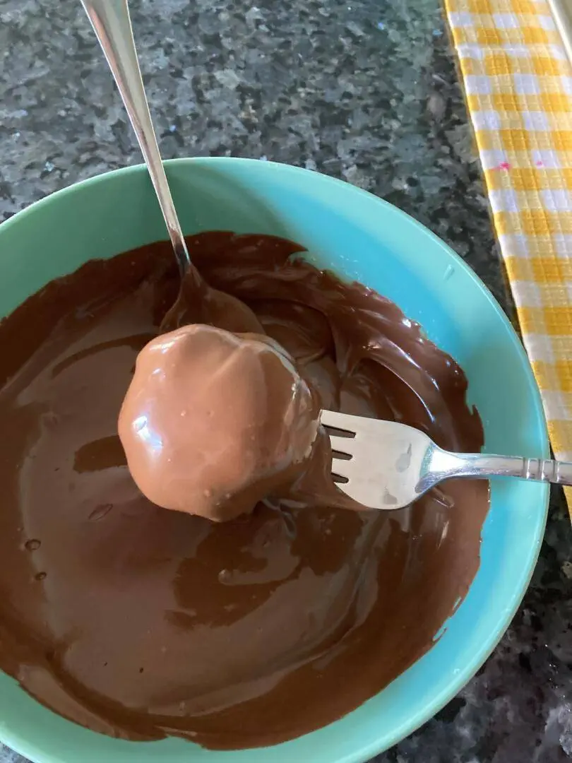 Easy Chocolate Coconut Balls from Out of the Box Baking.com