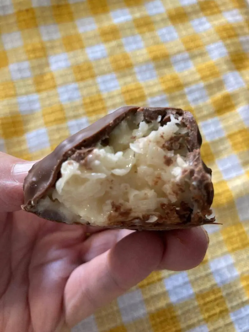 Easy Chocolate Coconut Balls from Out of the Box Baking.com