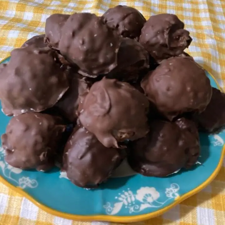 Easy Chocolate Coconut Balls