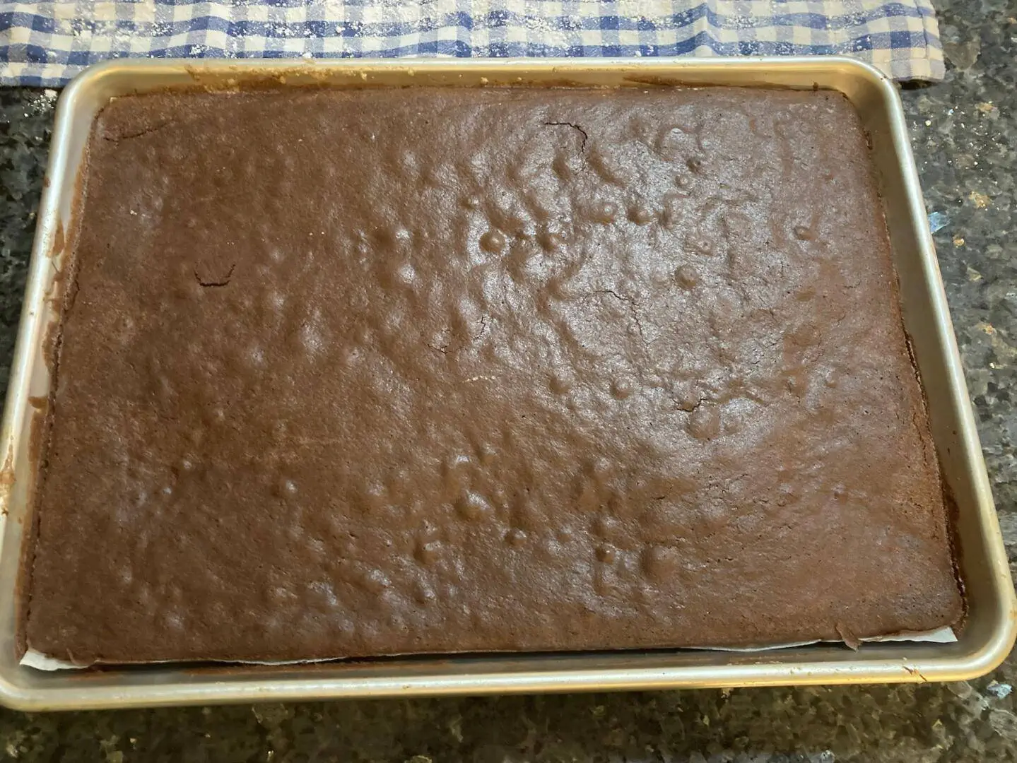 Holiday Yule log Cake from Out of the Box Baking.com