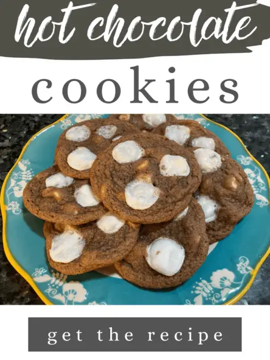 Easy Hot Chocolate Cookies from Out of the Box Baking.com