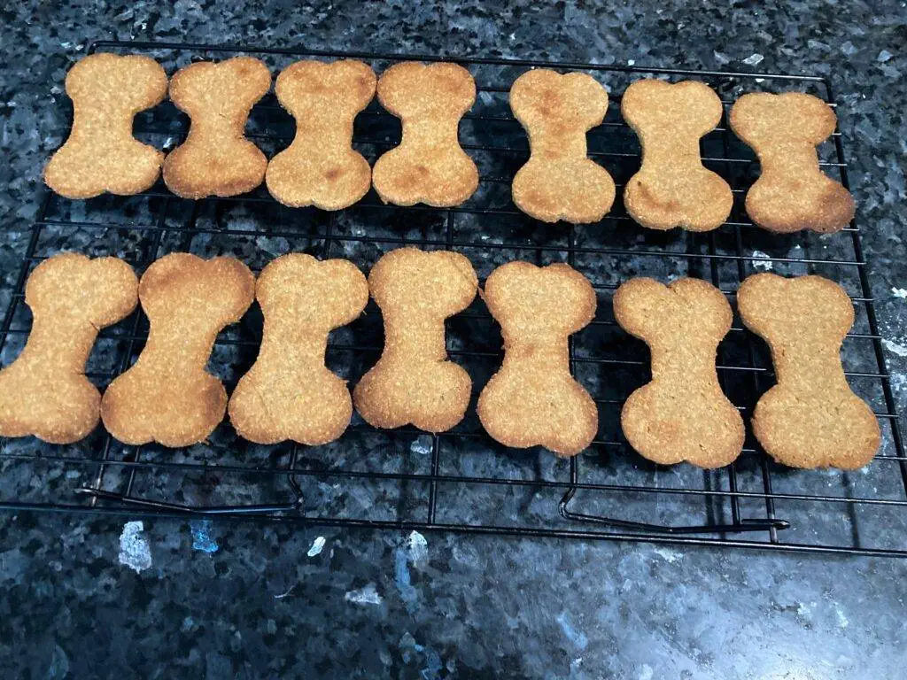 Homemade Dog Treats from Out of the Box Baking.com