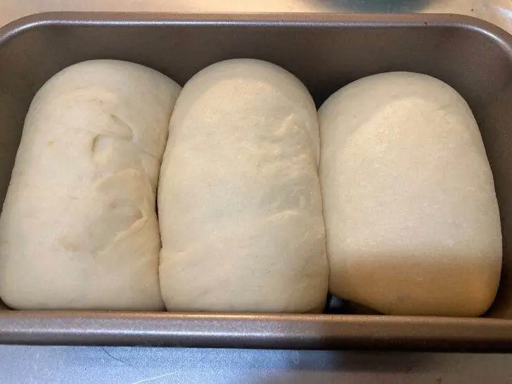 Tangzhong Milk Bread Recipe from Out of the Box Baking.com