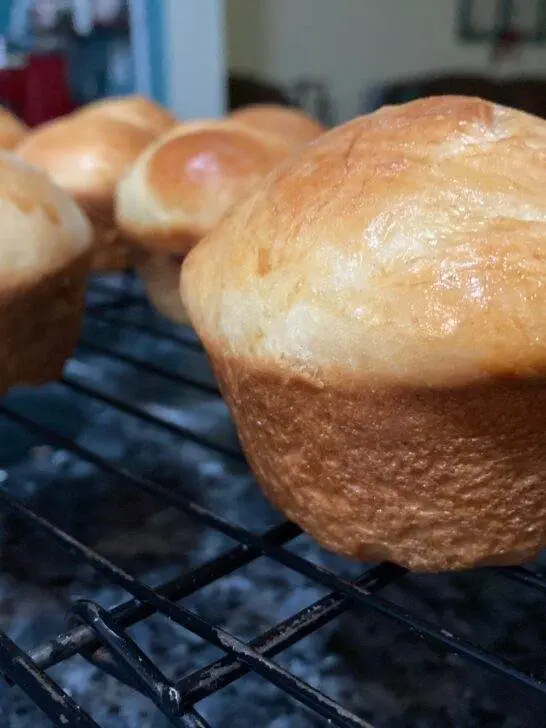 Light and Fluffy Yeast Rolls from Out of the Box Baking.com