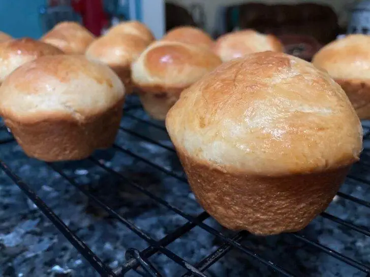 Light and Fluffy Yeast Rolls from Out of the Box Baking.com