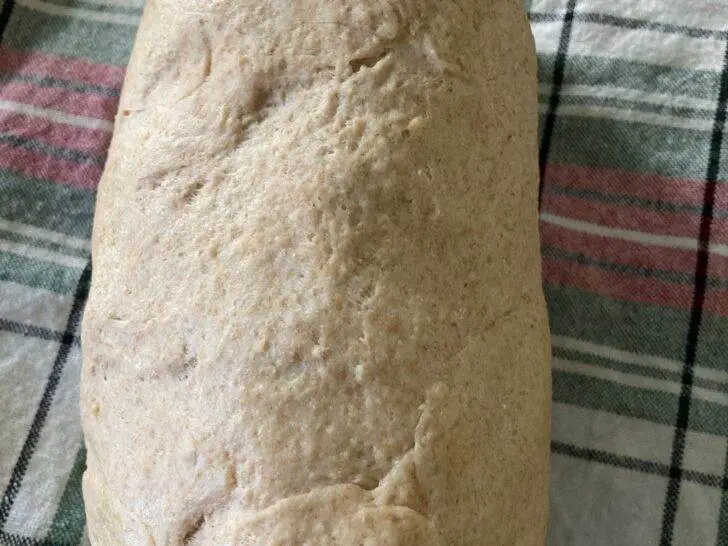 Classic Wheat Bread from Scratch (from Out of the Box Baking.com)