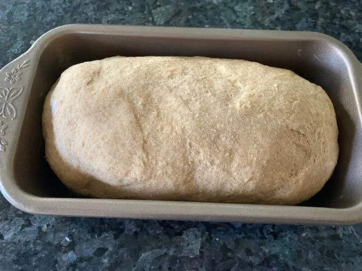 Classic Wheat Bread from Scratch (from Out of the Box Baking.com)